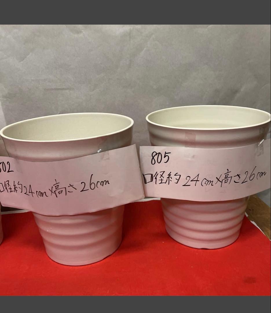 796805 胡蝶蘭が入っていた　植木鉢　プラスチック製　軽い　10個