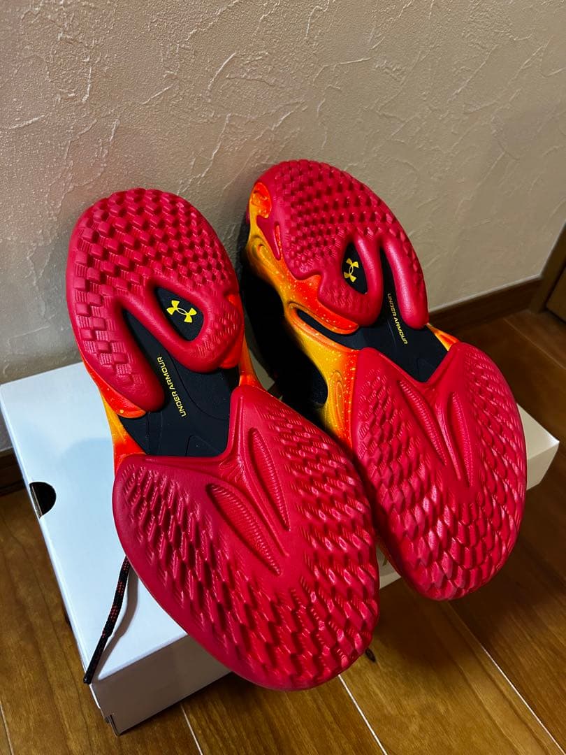 CURRY13 バッシュ 25㎝