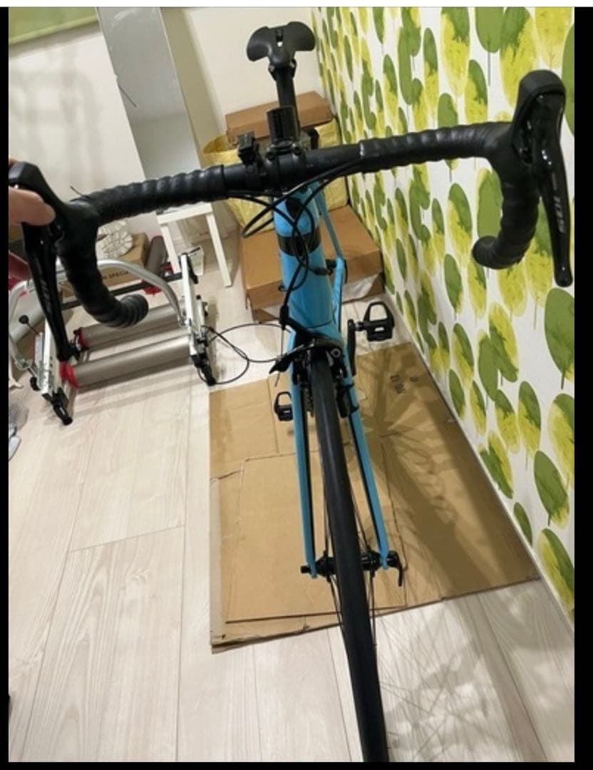 TREK Emonda SL 5 2019年　トレック　エモンダSL5 カーボン