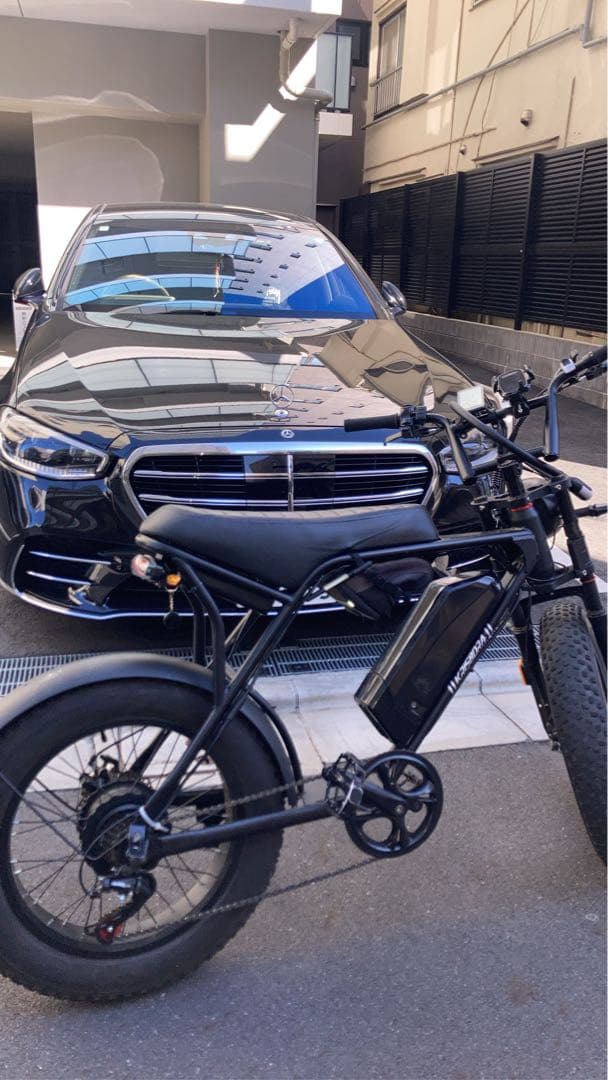 Krisbora 電動自転車 e-bike