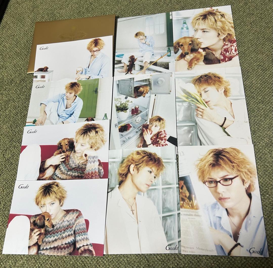 Gackt MARSグッズセット