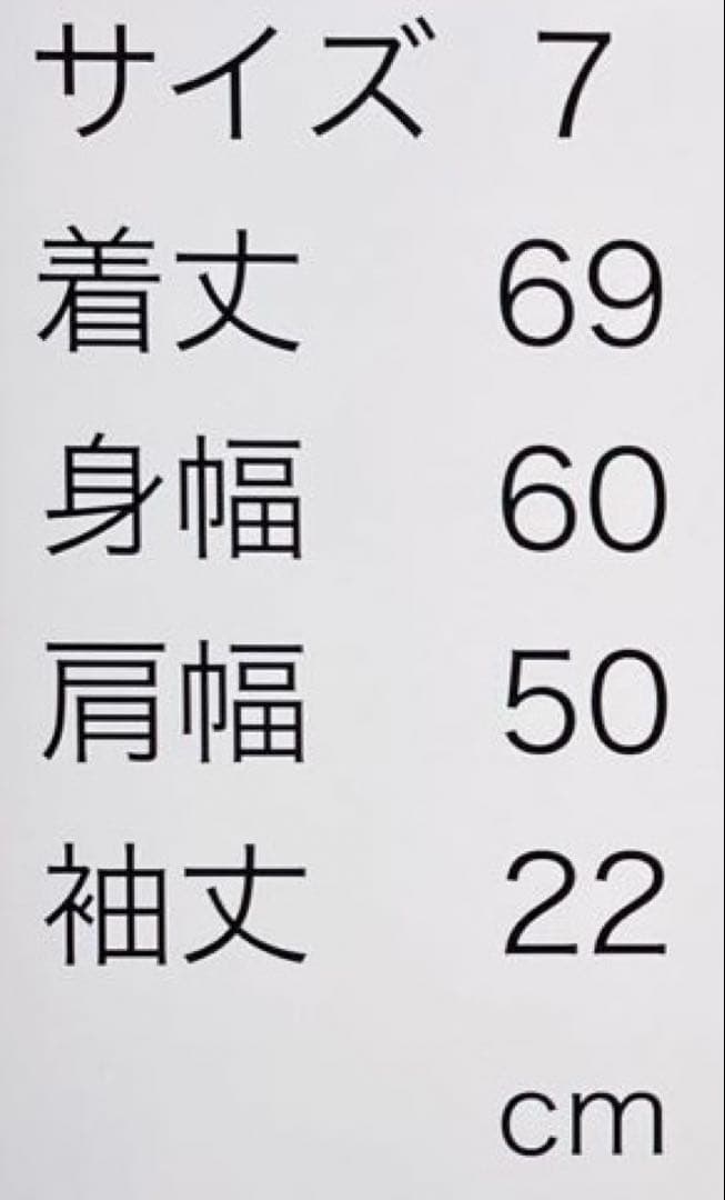 パーリーゲイツ　ポロシャツ　7