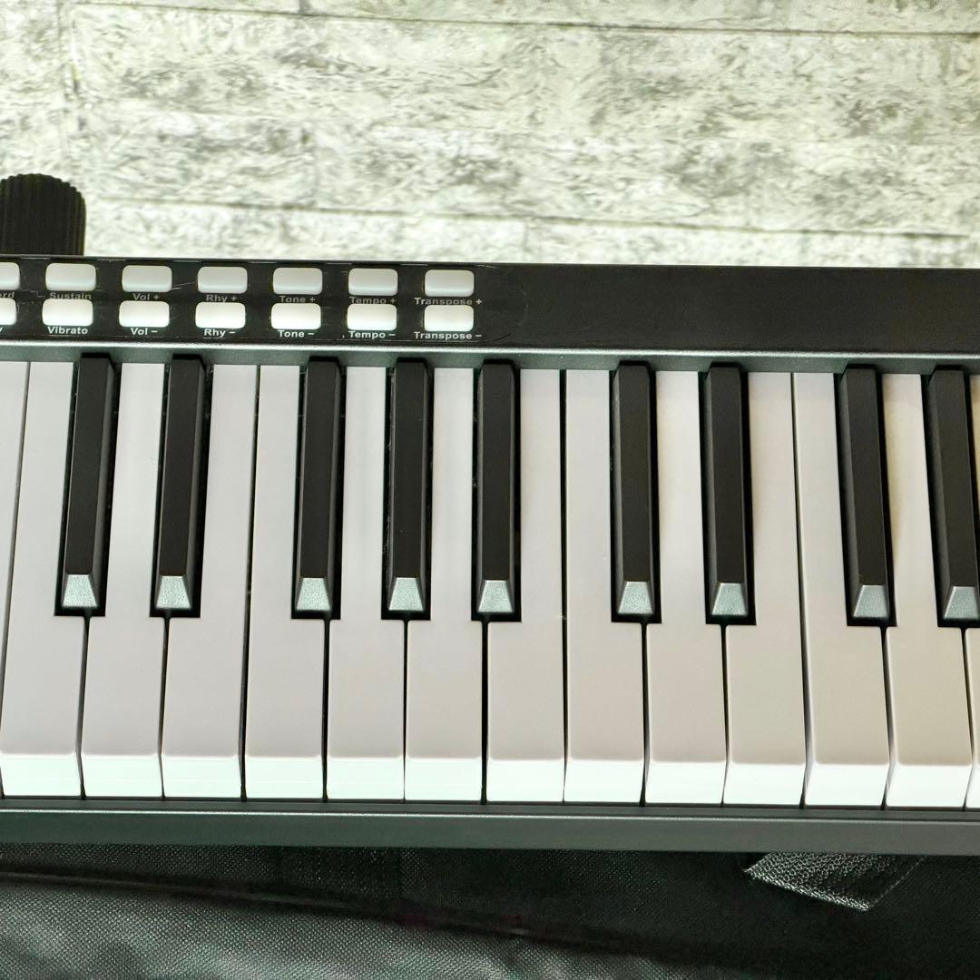 TOMOI OEM 88鍵電子キーボード USB充電タイプ
