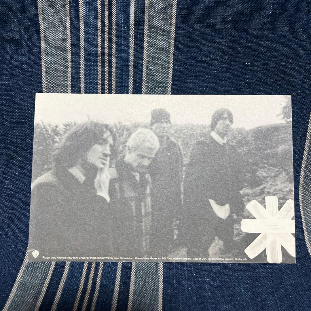 90年代 〜 red hot chilipeppers ステージパス
