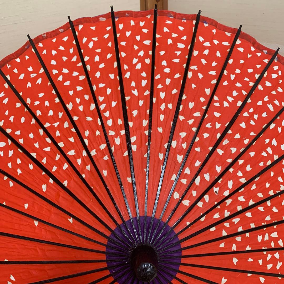舞踊傘 赤色 桜吹雪　2本セット　蛇の目傘　日本舞踊　踊り　和傘　収納袋付き