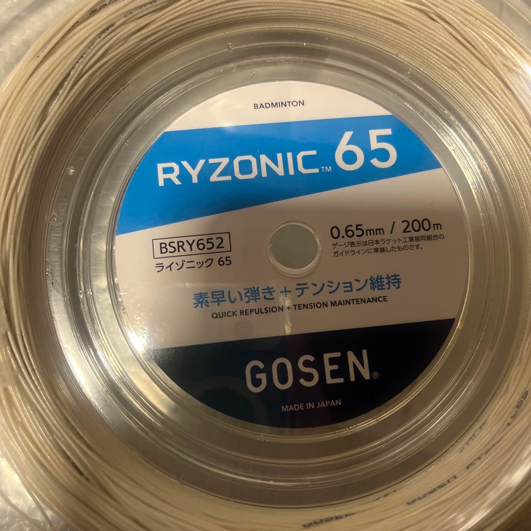 GOSEN ライゾニック65 約130メートル