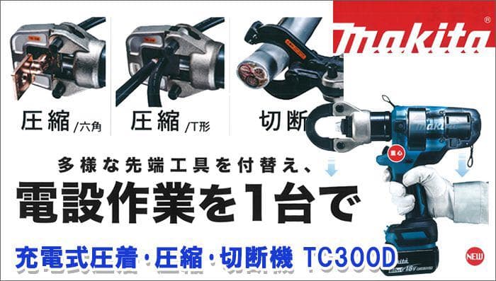 安政小判