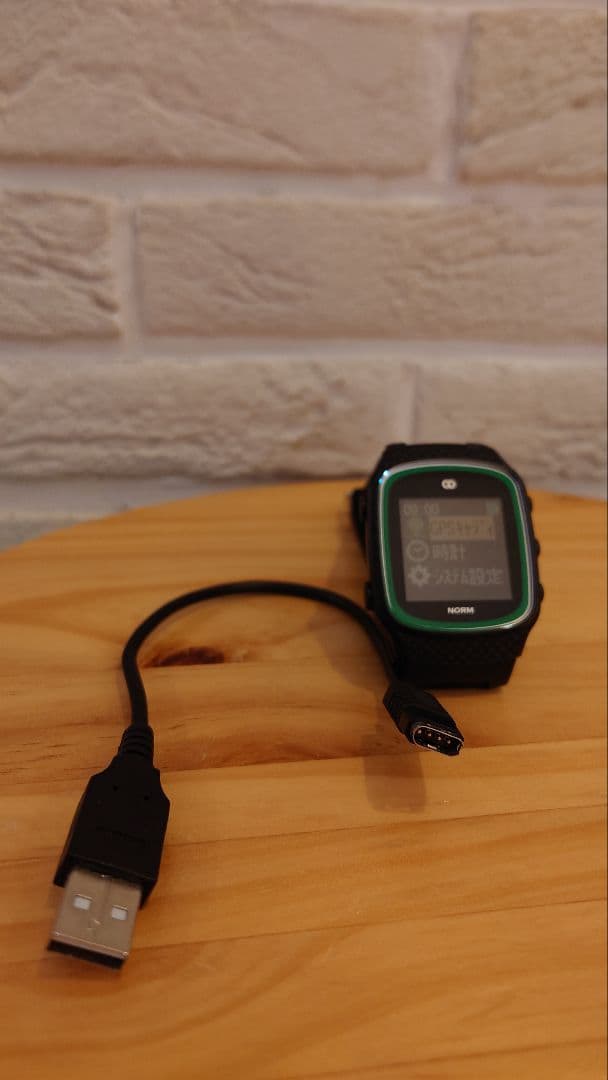 THE GOLF WATCH NORM ブラック
