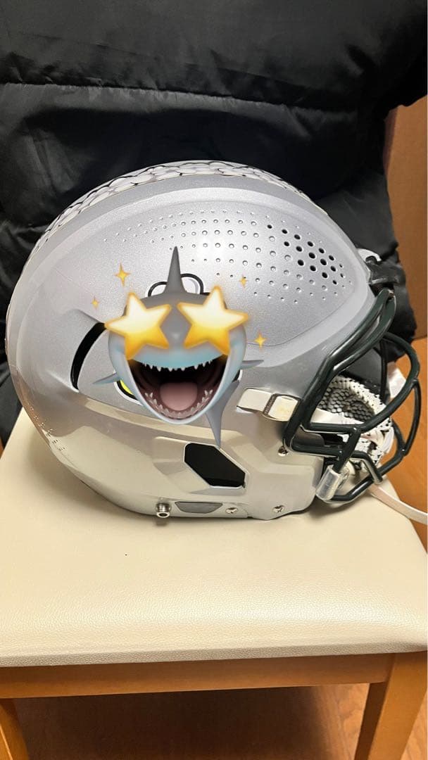 Vicis 02 エリート版Lサイズ￼