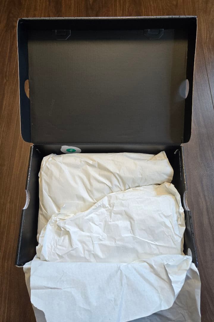 NIKE Air Jordan 4 Retro \"Black Cat\"27.5㎝