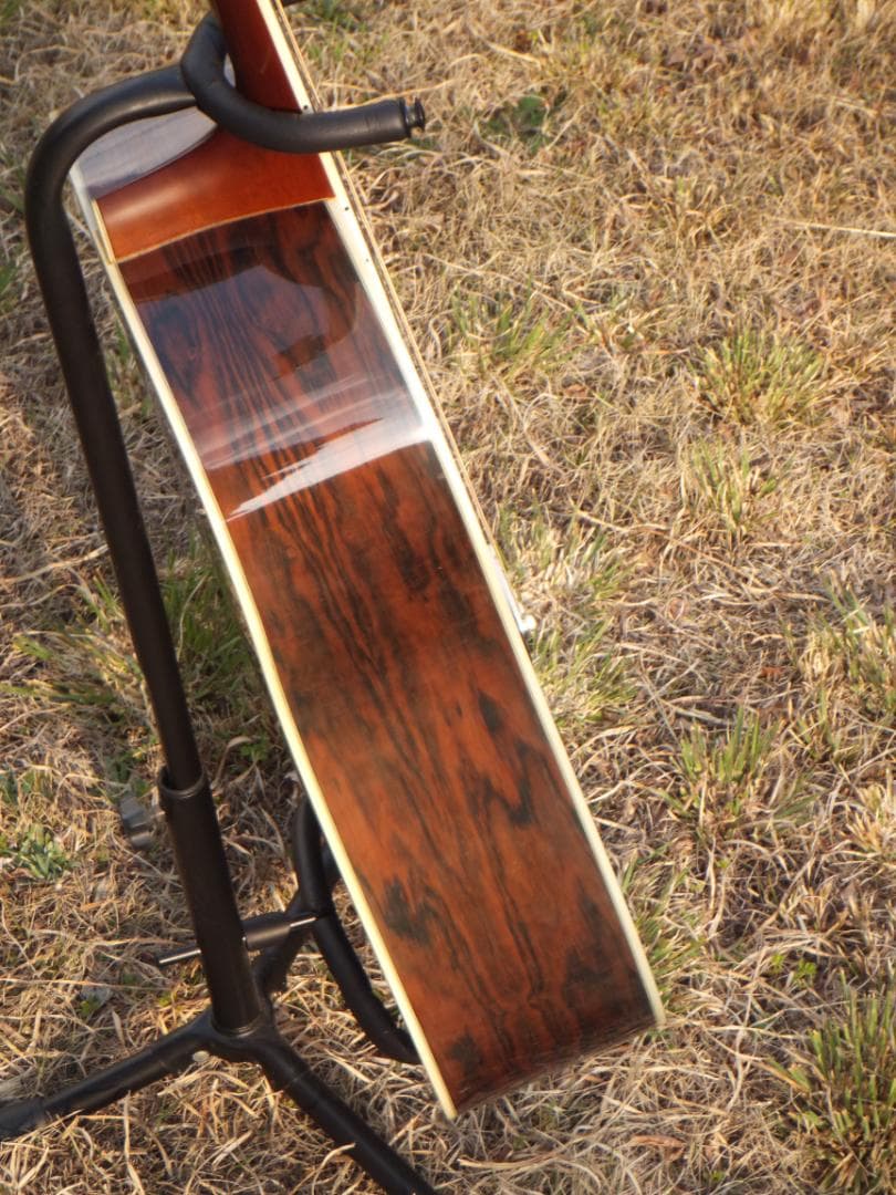 Morris M-601 TOP単板　ハカランダ　良品　ハードケース付き