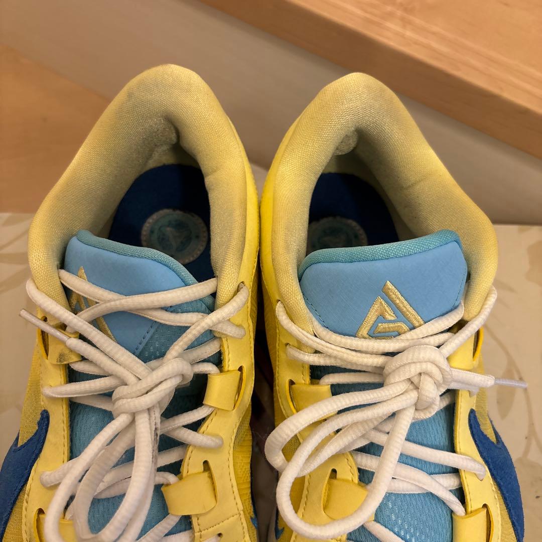 Nike Zoom Freak 5 EP 28cm フリーク5 状態良好
