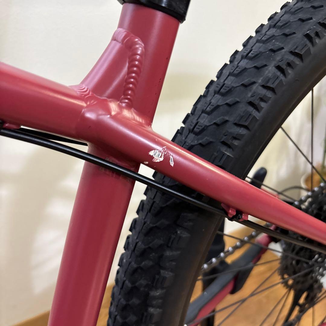 santa cruz chameleon 29er サンタクルズ　カメレオン