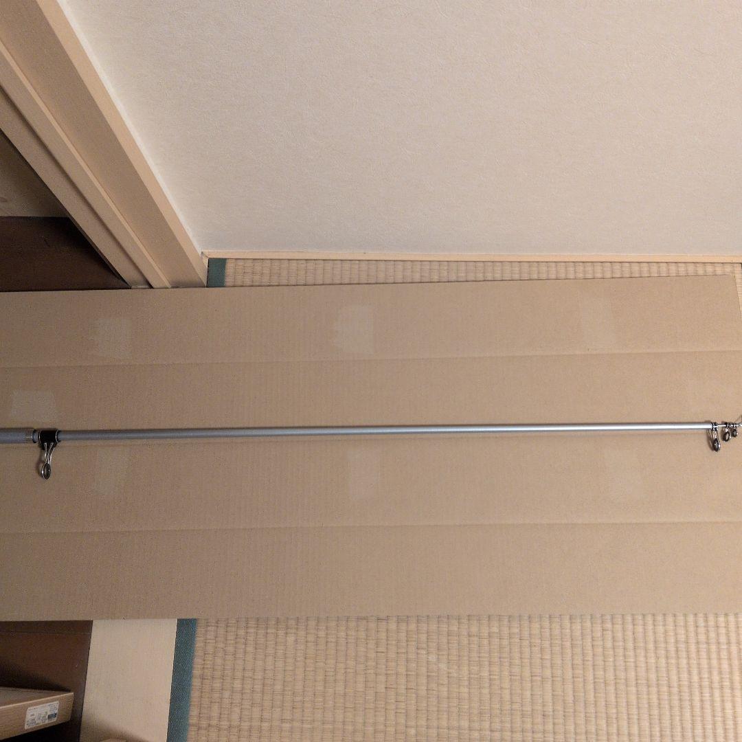 投げ竿 振出 サーフリーダー 405DX