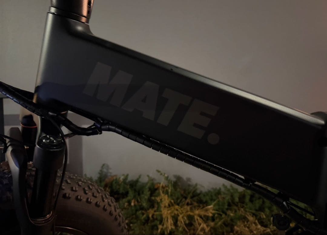 ほぼ新品mate x evo 純正フルカスタム　メイトバイク