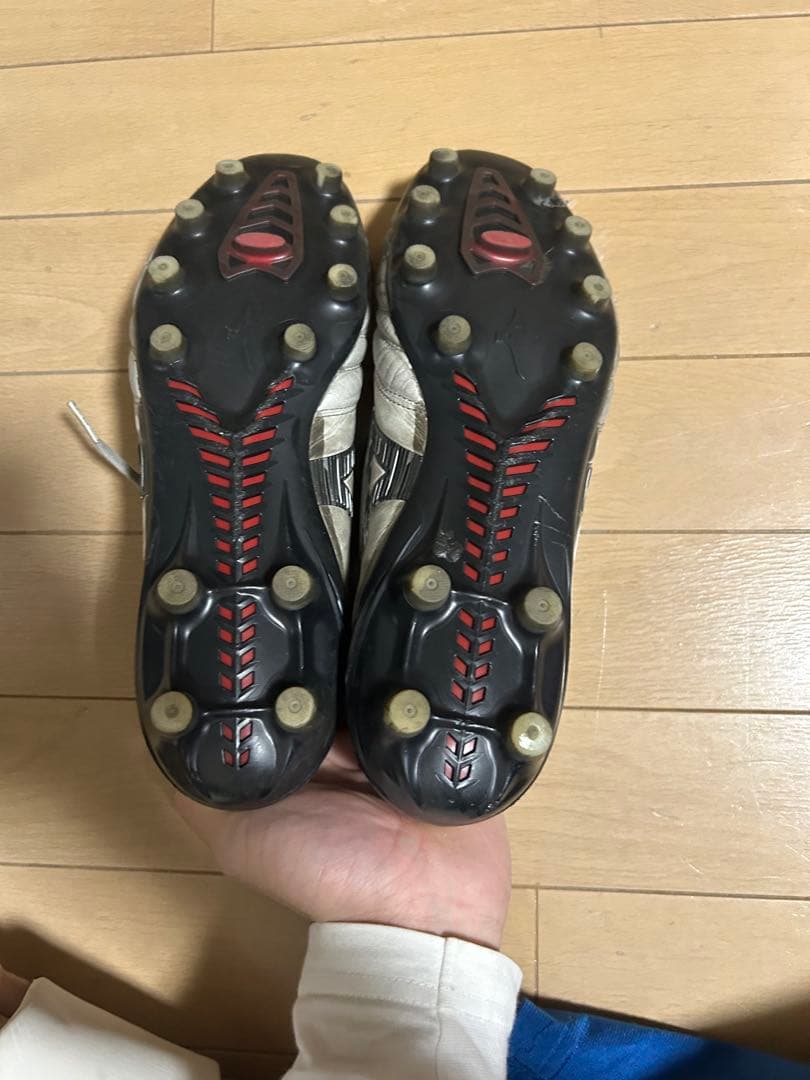 モレリアネオ4、27cm