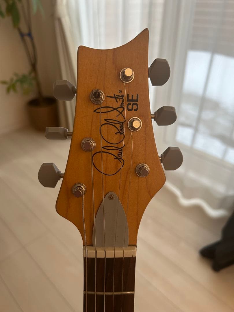 PRS (Paul Reed Smith)SEエレキギター