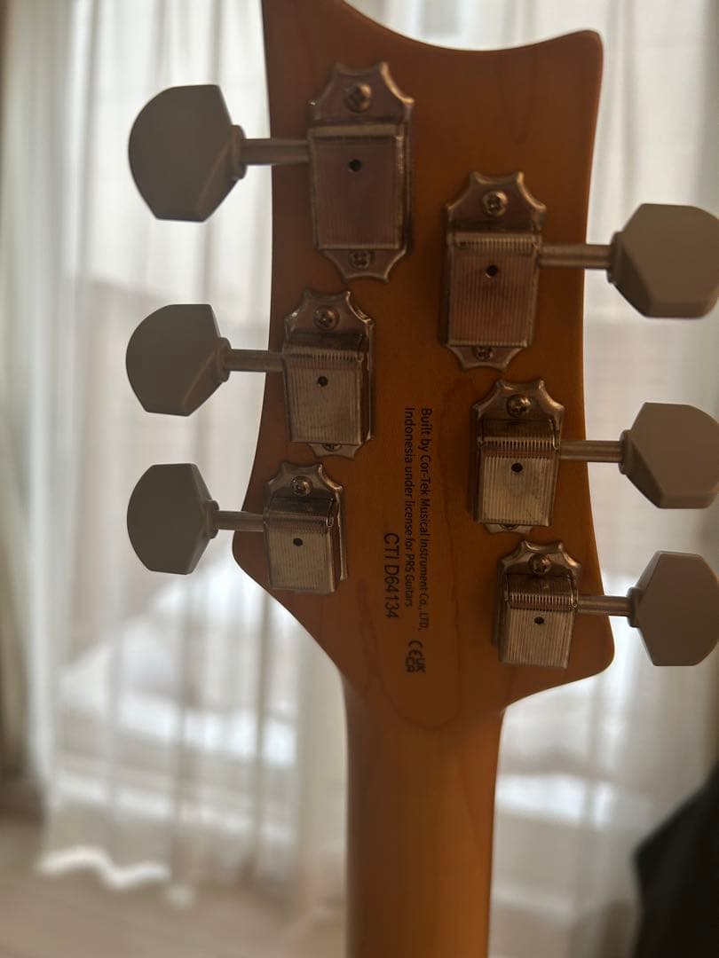 PRS (Paul Reed Smith)SEエレキギター