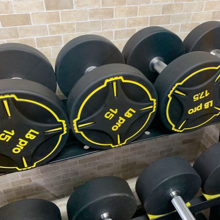 TPUダンベル　37.5kg２個
