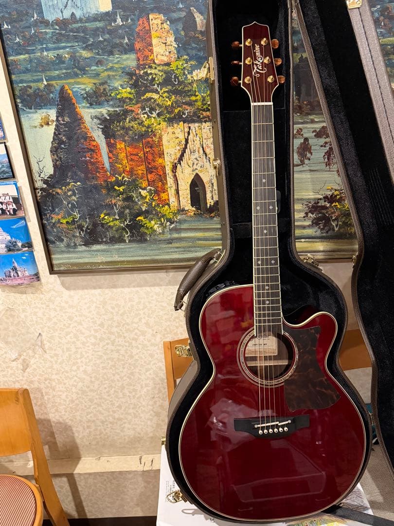 Takamine アコースティックギター ワインレッドDMP 50SWR