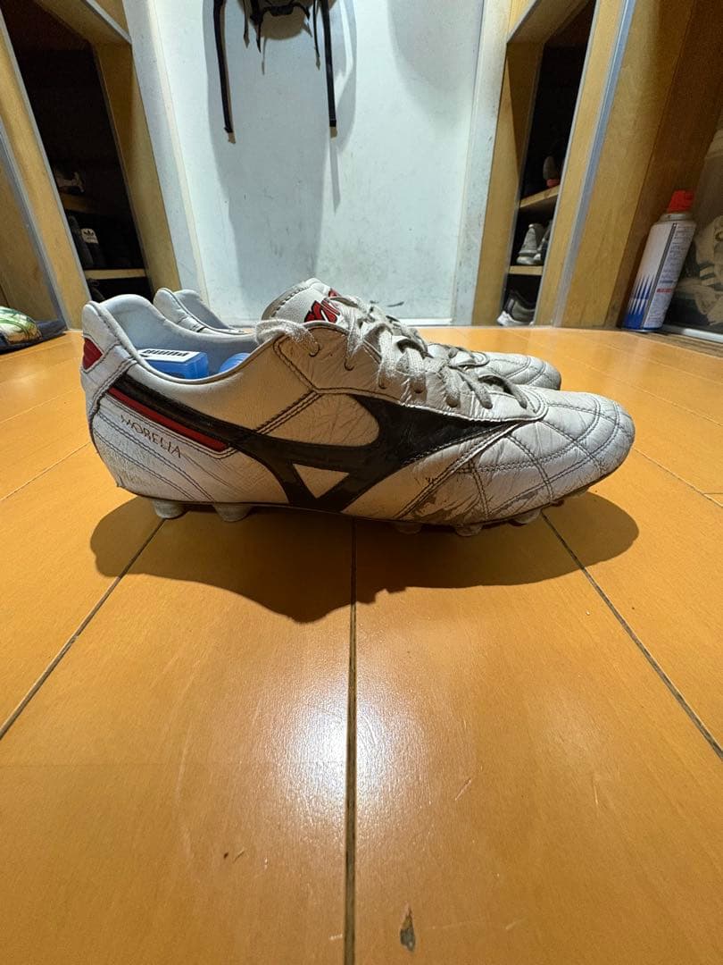 モレリア2JAPAN クロスステッチ