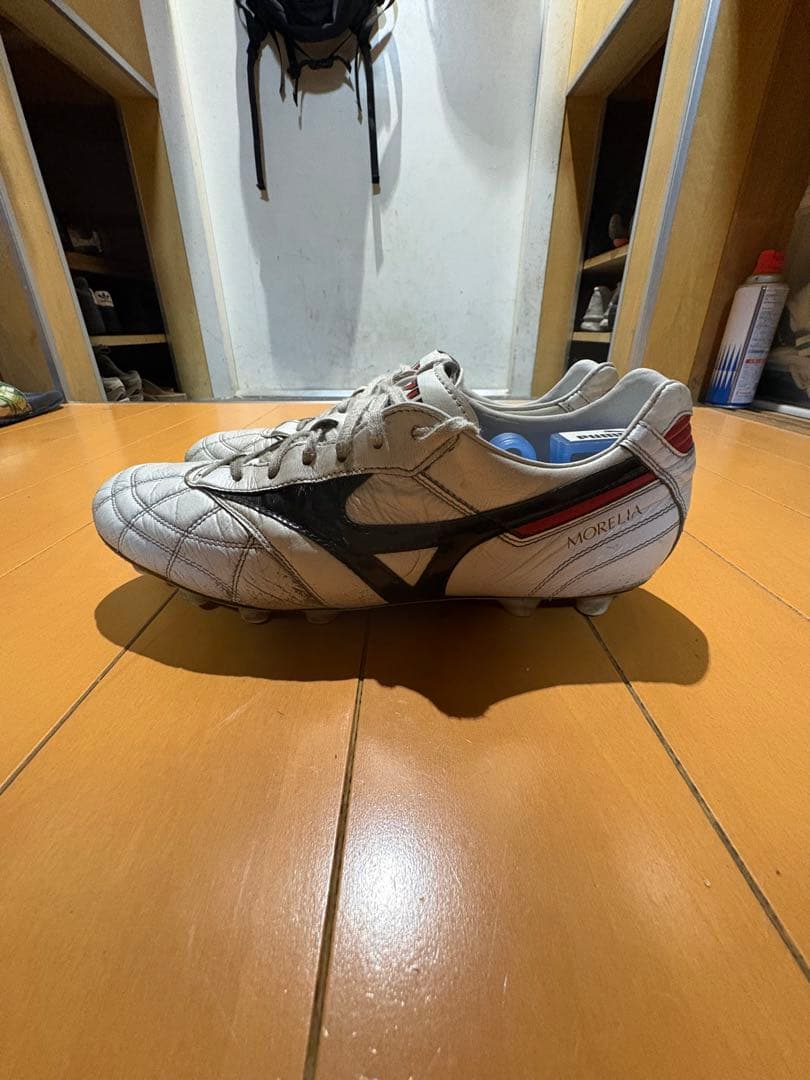 モレリア2JAPAN クロスステッチ