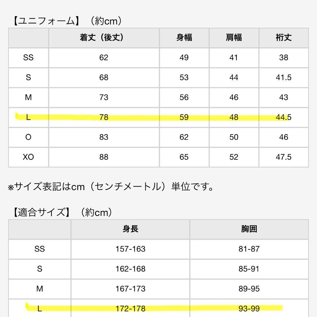 阪神タイガース 近本光司 ミズノ製 レプリカユニフォーム Lサイズ