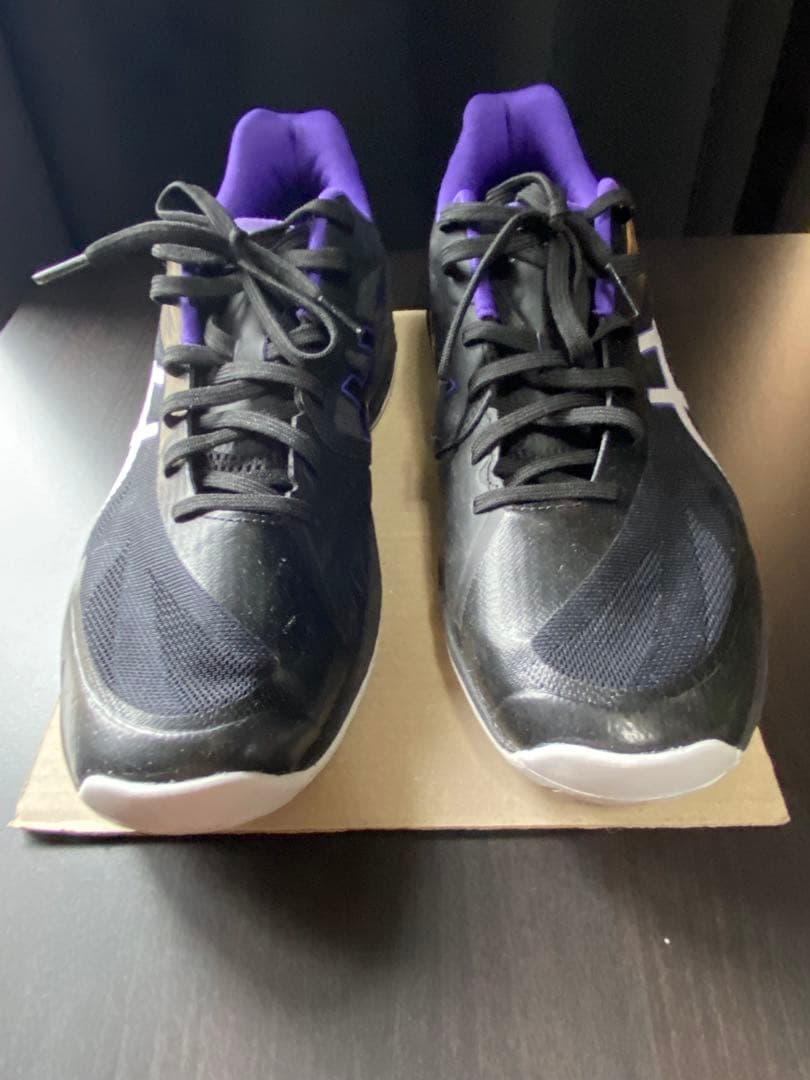 asics バレーボールシューズ　29cm