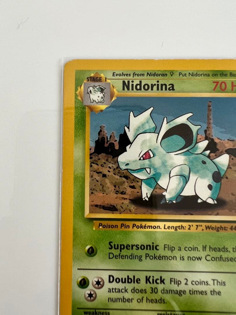アメリカ購入品 Nidorina