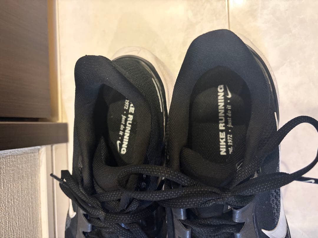 ナイキNIKEズームペガサス 41 FD2722-002 25.5cm