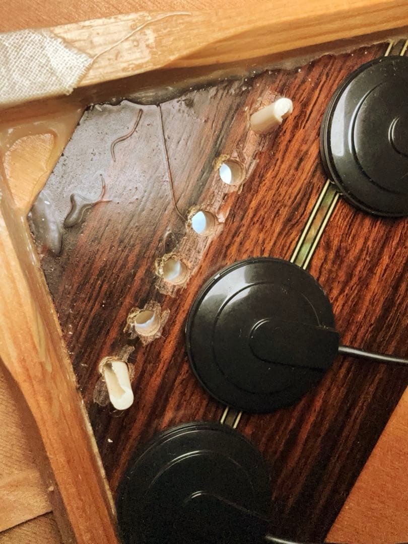 【エレアコ化&牛骨サドル】ThreeS AE-25 調整済　JV ソフトケース付