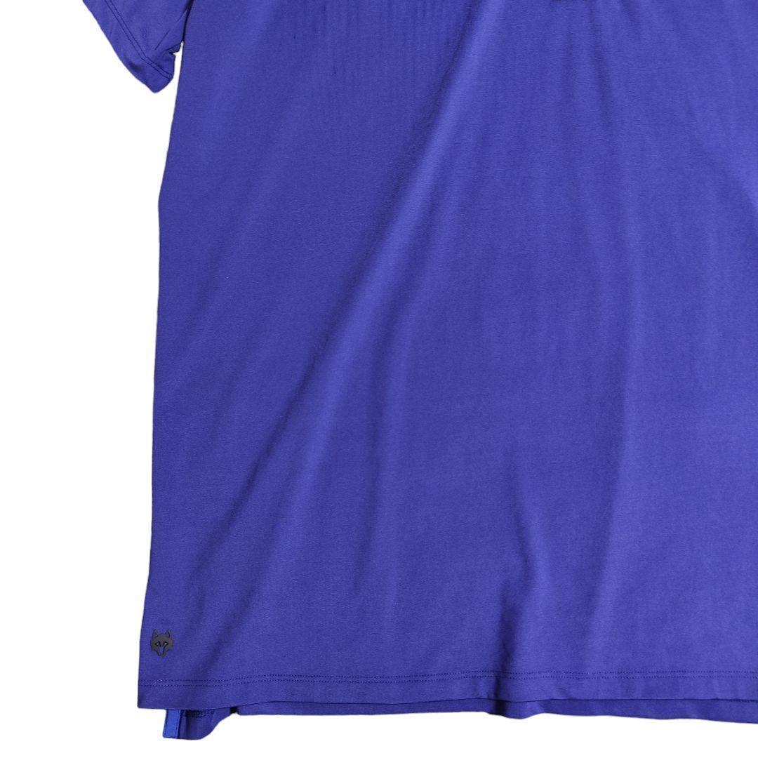 【極美品】グレイソン GREYSON ポロシャツ ゴルフ ウェア 3L 2XL
