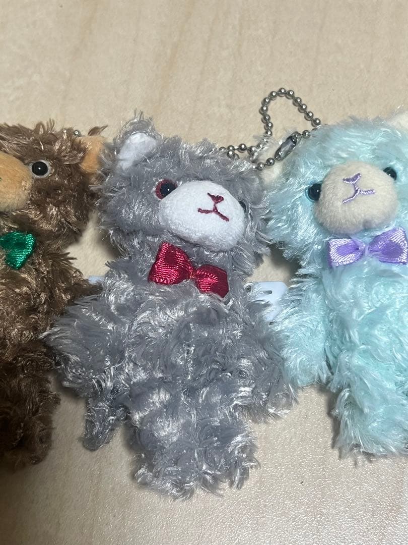 QUARTET NIGHT 4つセット　プチ　プリンスキャット