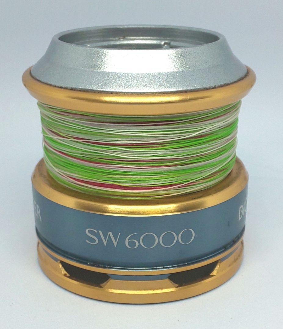 シマノ SHIMANO 16バイオマスター SW6000PG ショアジギング 鰤