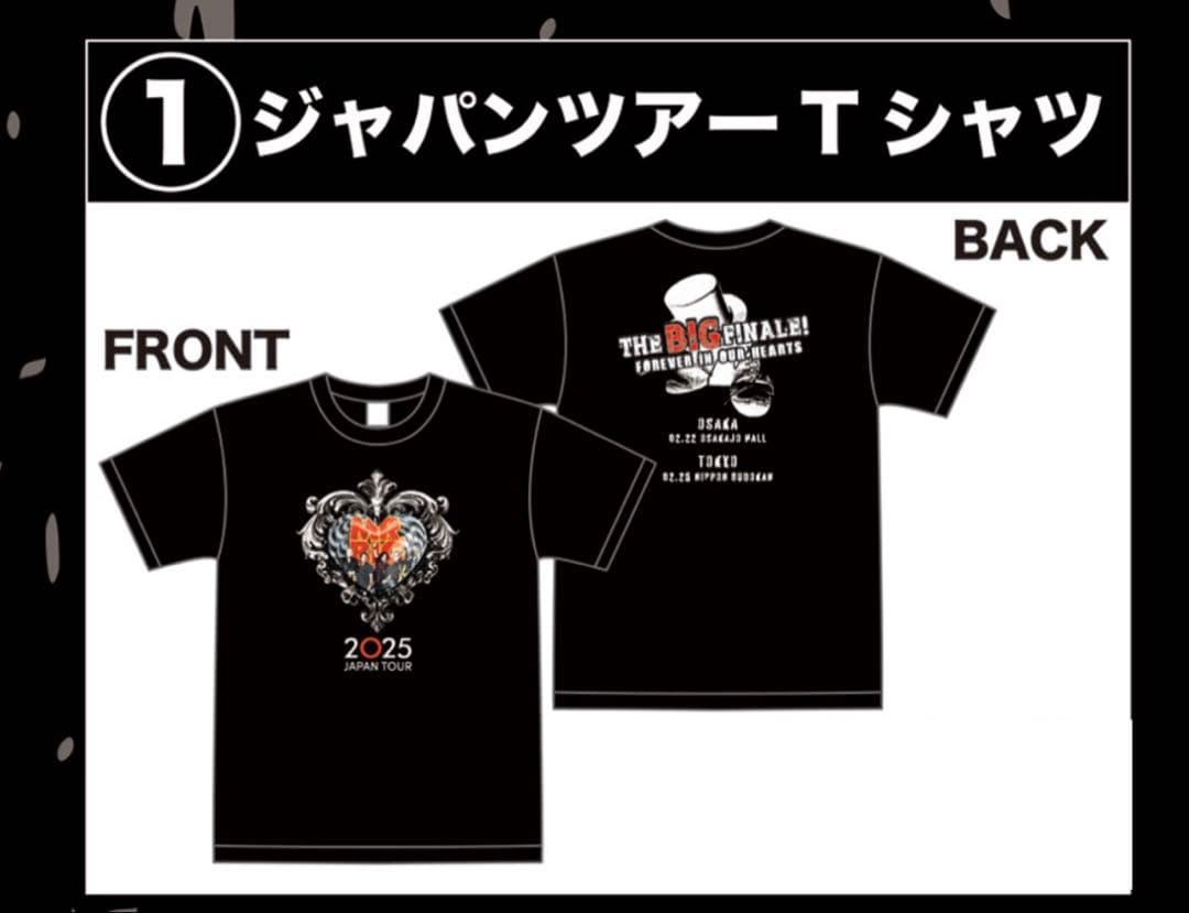 新品 MR.BIG 2025 ジャパンツアーTシャツ Mサイズ