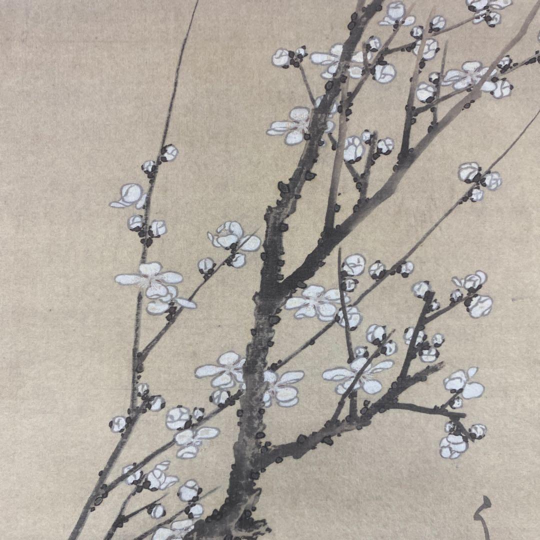 美品 掛け軸 葛飾北斎筆 白梅図 名品 縁起物 年中掛け