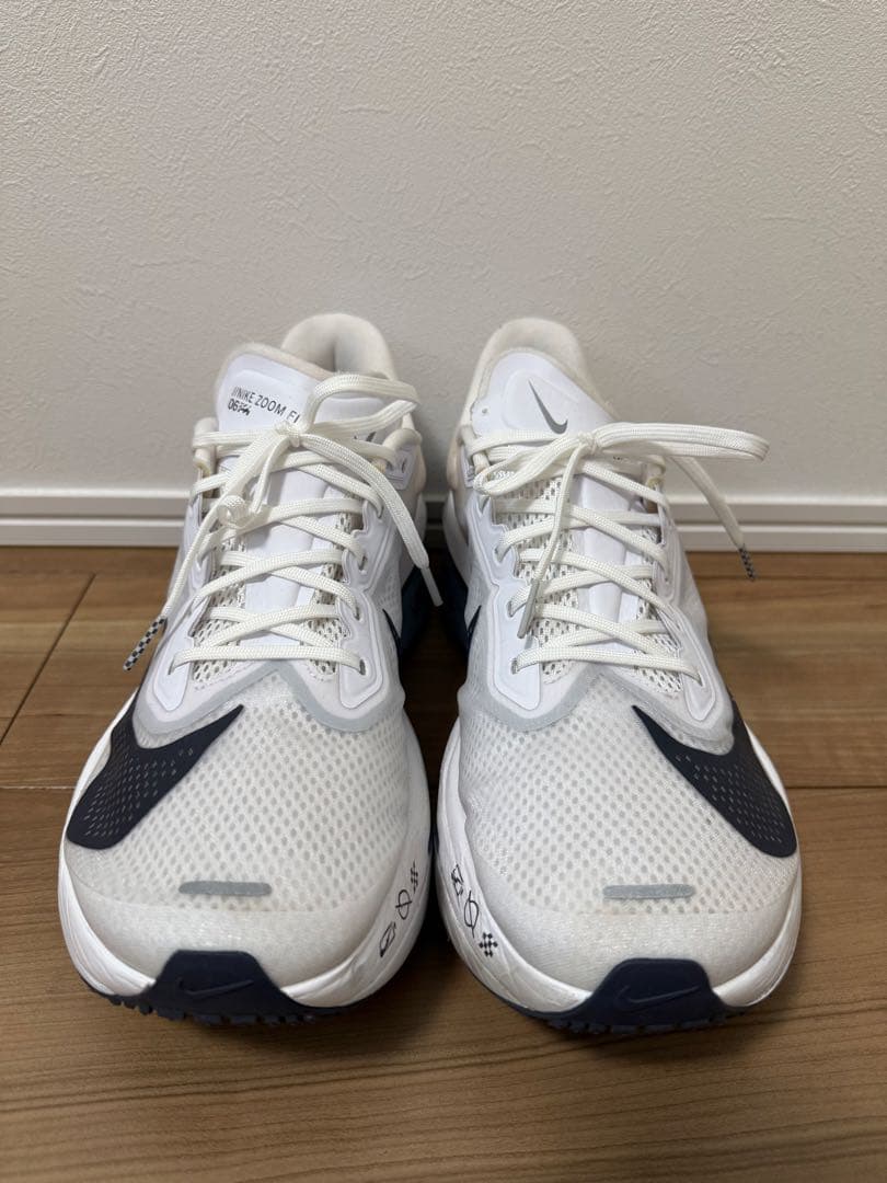 ナイキ ズームフライ6 ZOOM FLY 6 29cm