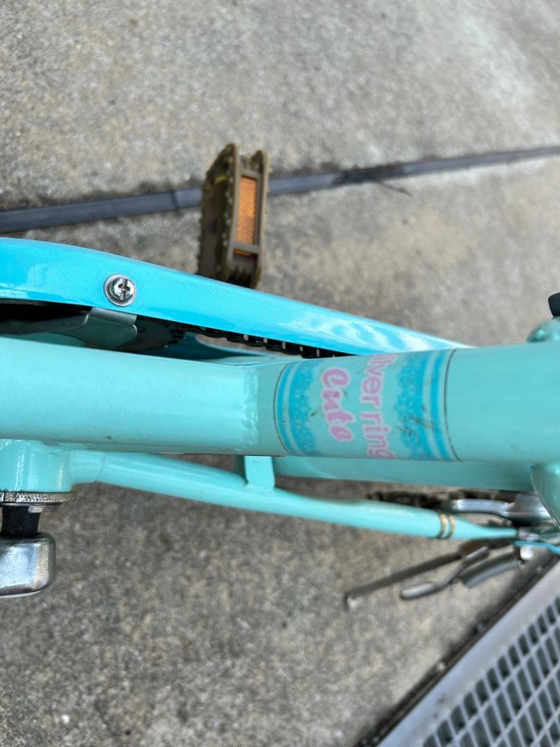 ダイワサイクル　自転車　20インチ　シルバーリング　SRC20 グリーン　女の子