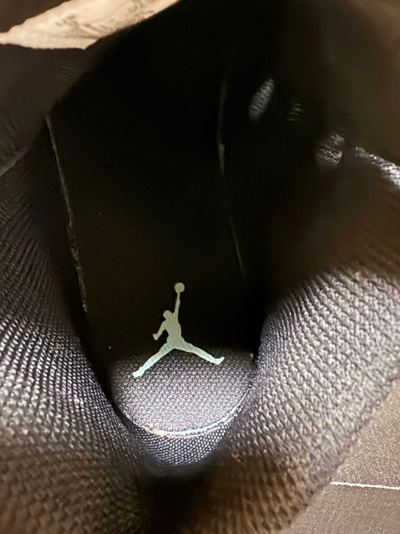 シューズ(男性用) NIKE AIR JORDAN 1 MID TROPICAL TWIST27cm