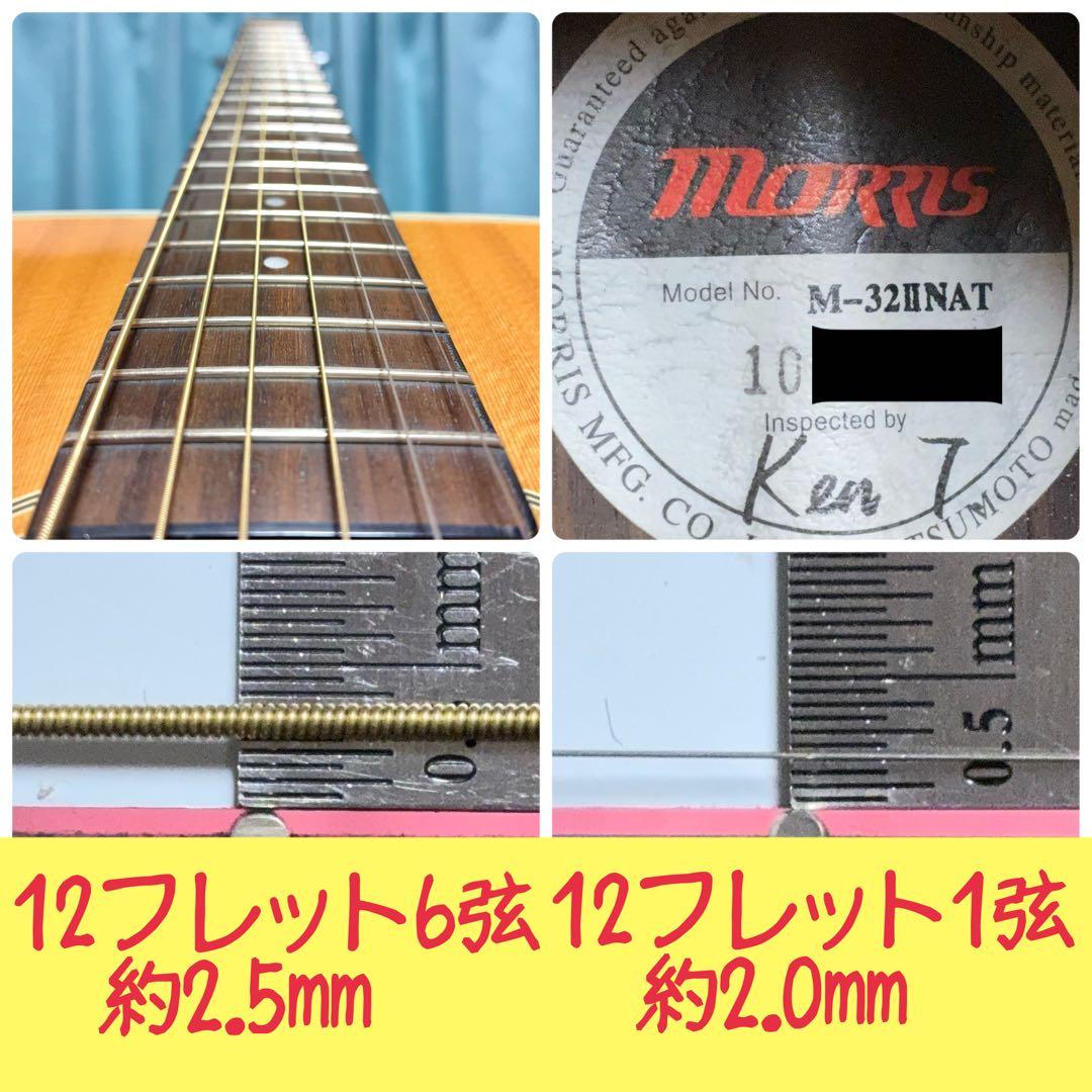 【牛骨】MORRIS！トップ単板！M-32Ⅱ【弾き易く調整☆新品弦】