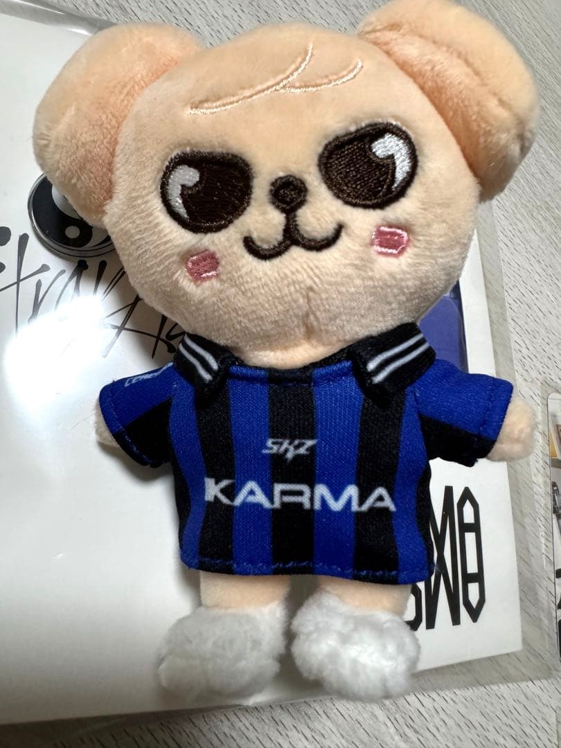 straykids seungmin puppym まとめ売り