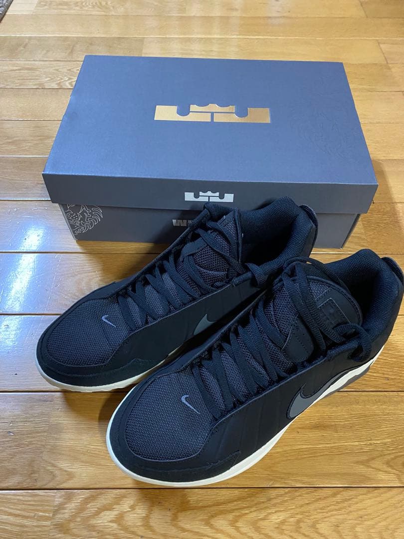 Nike LeBron’s Witness Ⅸ EP