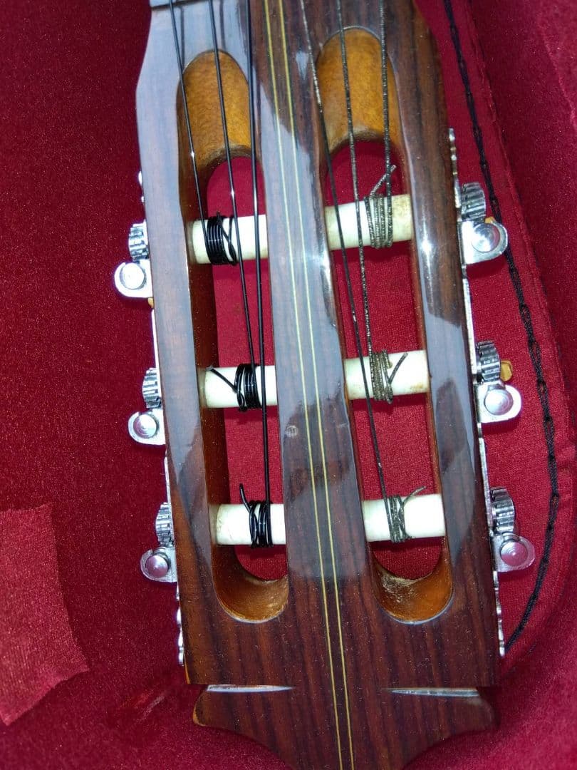 Morris M-12 アコースティックギター