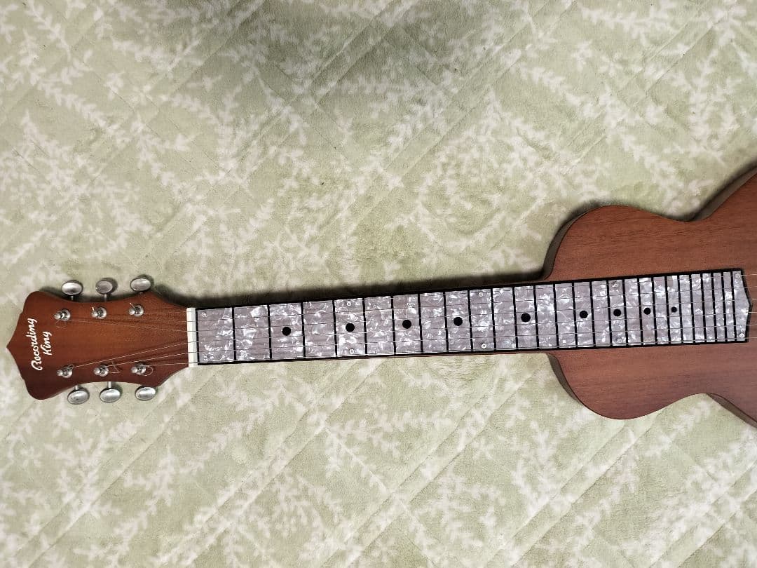 レコーディングキング　ラップスティールギター RG-31-NA