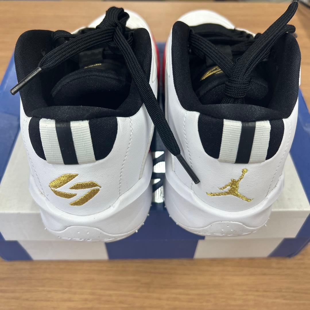 Jordan Luka 3（239）