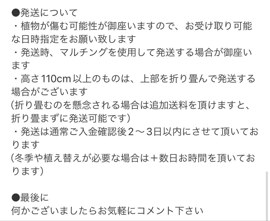 ［現品］【希少】サンスベリア　パテンス　斑入り　4号　観葉植物　室内　レア