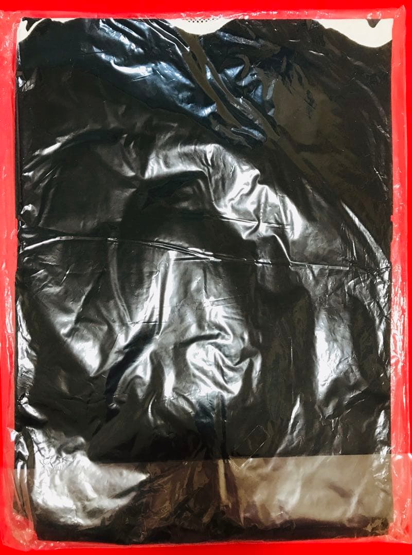 新品 HAWAIIAN6『IKKI TOUR』TシャツM ハワイアン6 横山 健
