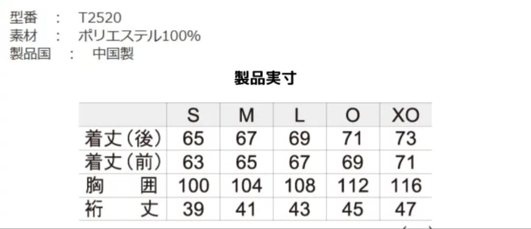 GOSEN T2520 L ホワイト シャツ