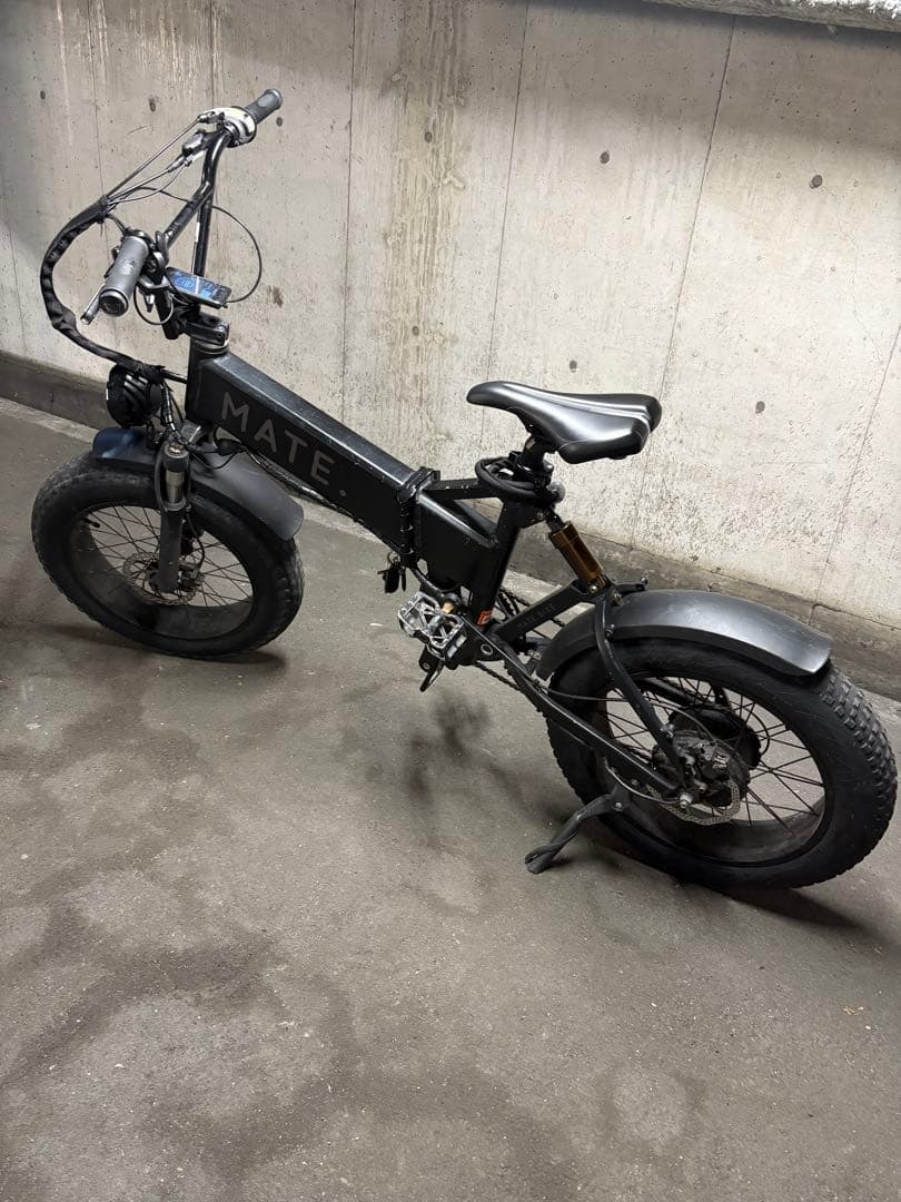 MATE X 250 カスタム多数