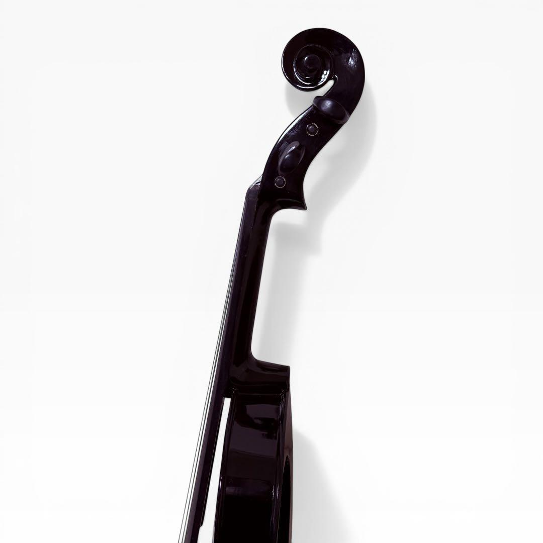 【美品】Carlo giordano EV-202 エレキバイオリン